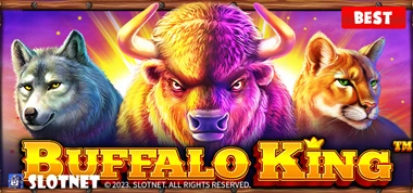 버팔로-킹-_Buffalo-King_